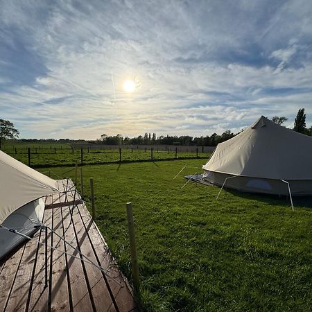 Camp Mangoeste Zedelgem Bagian luar foto
