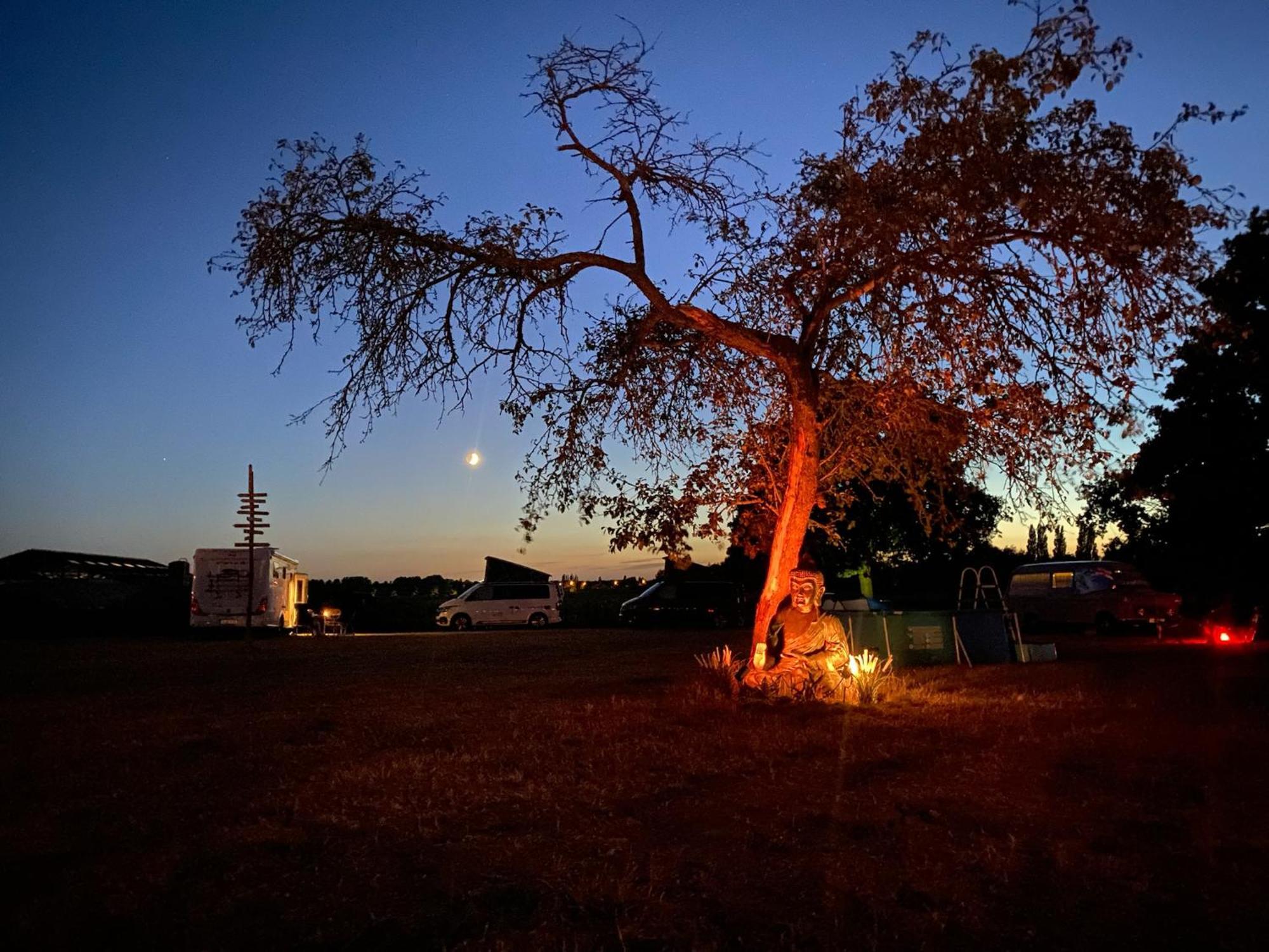 Camp Mangoeste Zedelgem Bagian luar foto